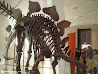 Royal Ontario Museum photo 7