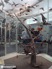 Royal Ontario Museum photo 8