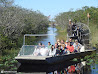 Everglades photo 2