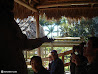 Everglades photo 20