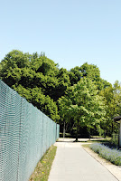 DSC_0574.JPG Photo