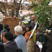 Imagen 067.jpg