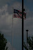 IMG_5347.JPG