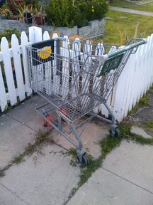 San Diego Cart