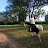 Argentine &ndash; JF sur Jolly Jumper