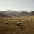 Chine &ndash; 