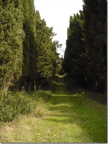 Tuscany 324 Tuscany 324
