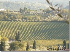 Tuscany 706