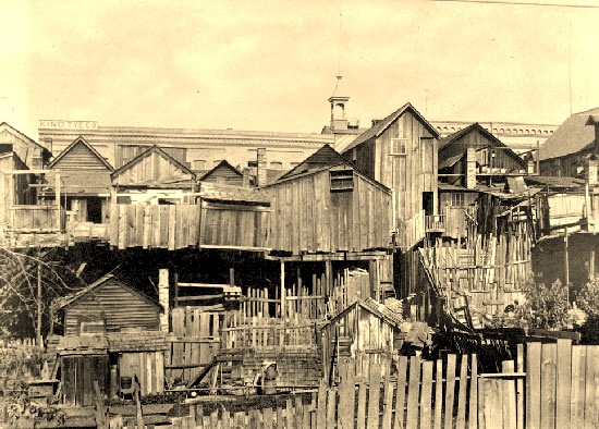 [shacks[21].jpg]