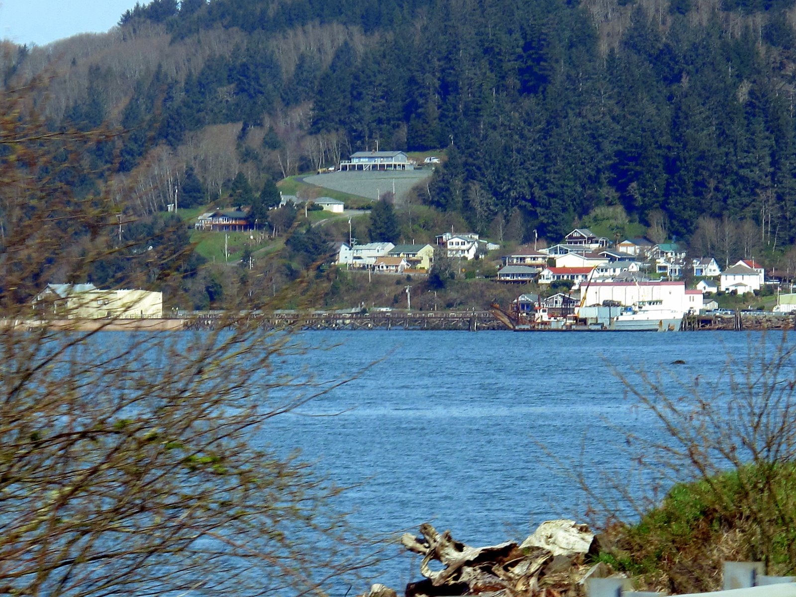 [IMG_61563.jpg]