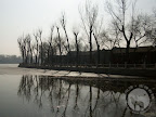 – 北京后海的树与水影 – 北京后海的树与水影
