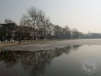 – 北京后海的树 – 北京后海的树