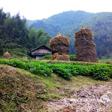 – 奇异的稻草堆 – 奇异的稻草堆