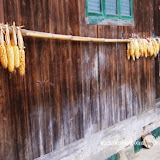 – 两串苞谷(玉米) – 两串苞谷(玉米)