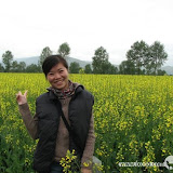 – 油菜花-JM – 油菜花-JM