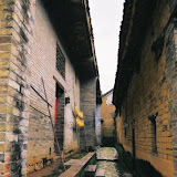 – 长满青笞的巷子——长满青笞的巷子,是不是勾起你儿时残留的记忆? – 长满青笞的巷子——长满青笞的巷子,是不是勾起你儿时残留的记忆?