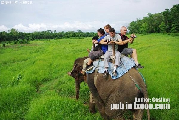 在Jungle乘坐大象