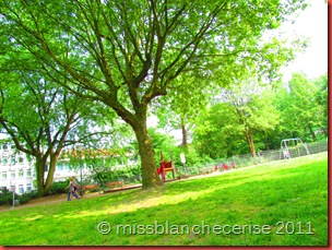 IMG_1825 IMG_1825