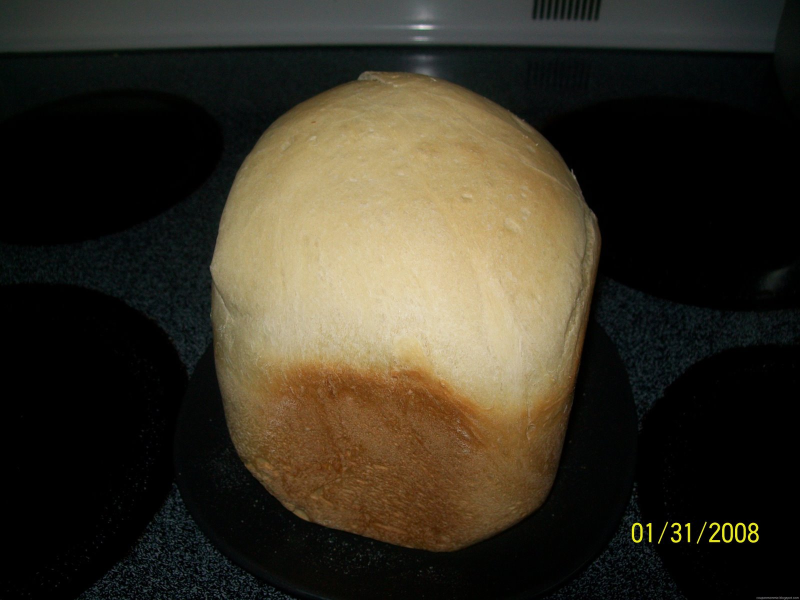 [White Bread[7].jpg]