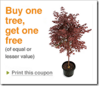 Home Depot BOGO Tree Coupon Home Depot BOGO Tree Coupon
