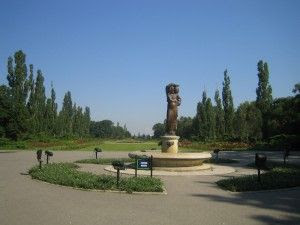 img_0785-300x225.jpg