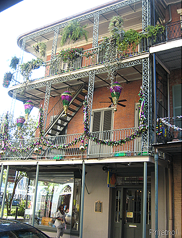 [new orleans1[3].png]