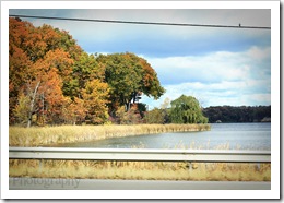 IMG_8582eweb IMG_8582eweb