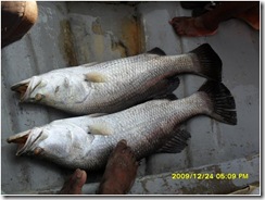 barracountry
