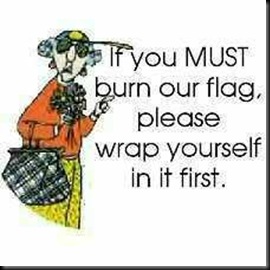 Maxine on Burning the Flag