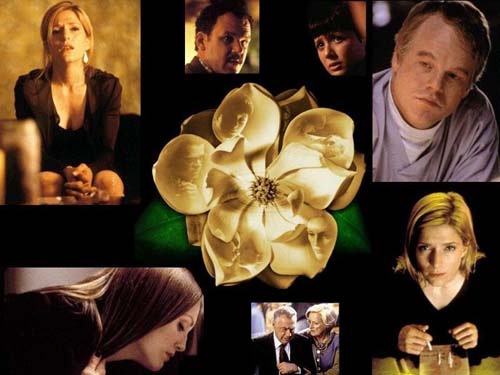 [magnolia[3].jpg]