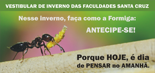 Novo Institucional e Campanha de Vestibular 2010
