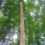 Pamper Pole