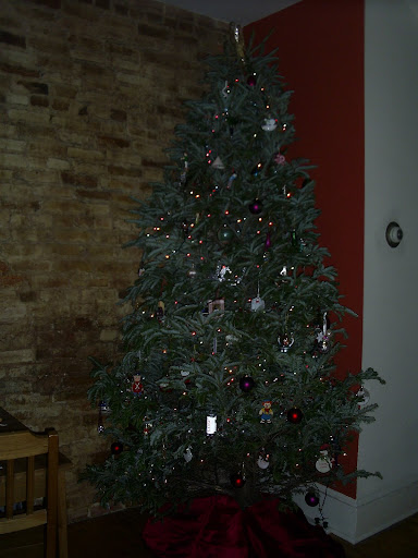 This years tree is only 9 feet tall.