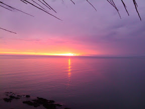 2009-10-31 20.04.25.jpg