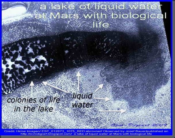 biolifeinlake_1_thumb1