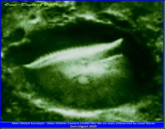vida en crater_4_resize