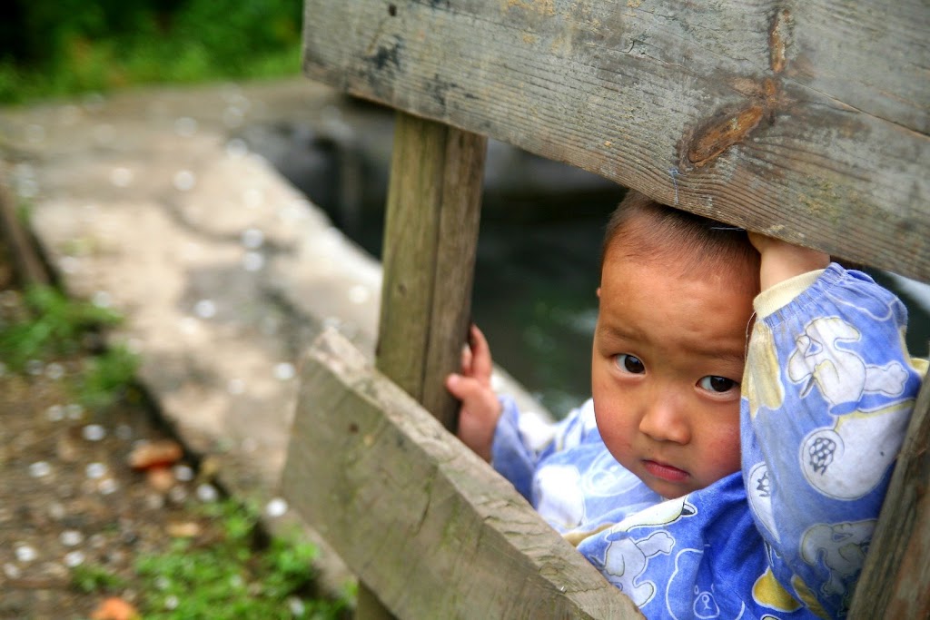 IMAGE: http://lh4.ggpht.com/_0R4kBESWztI/Scdg1n5mlKI/AAAAAAAAAXc/aCIsbhHVGso/s1024/IMG_0936.JPG