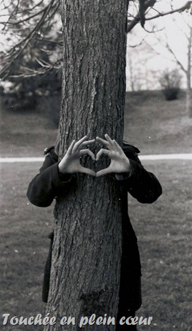 [coeur tronc arbre[27].jpg]