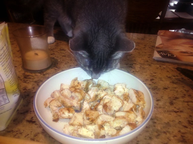 [chicken salad fixed 004[2].jpg]