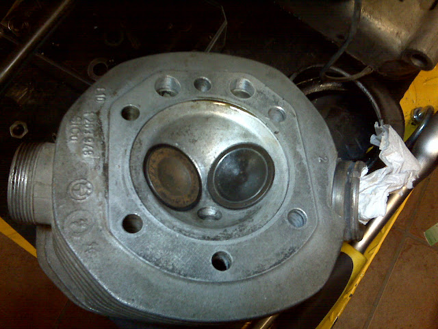 IMG00343.jpg