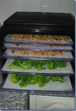 granola 016 granola 016
