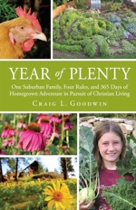Year of Plenty cover