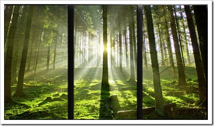 1130_falikep 1130_falikep
