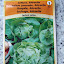 Lidl Lettuce
