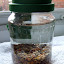 Mixed lentil batch