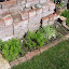 Happibun's Nosh Pit garden