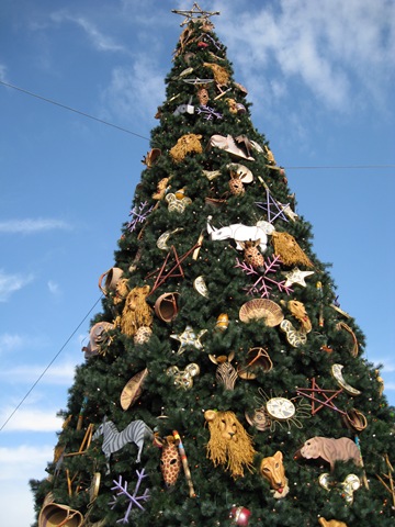 [2007-11-23 001 2007-11-23 009[6].jpg]