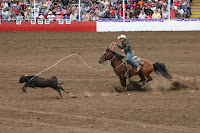 IMG_9392.JPG