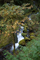 wahkeena-18.jpg
