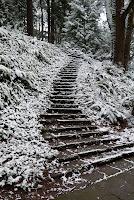 portland-snow-4.jpg